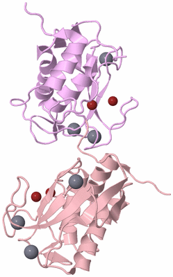 Image Biological Unit 10