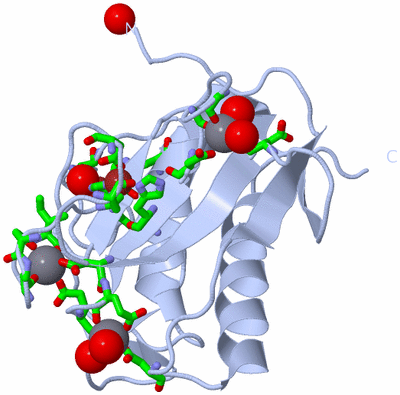 Image Biol. Unit 1 - sites