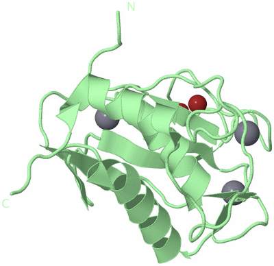 Image Biological Unit 2