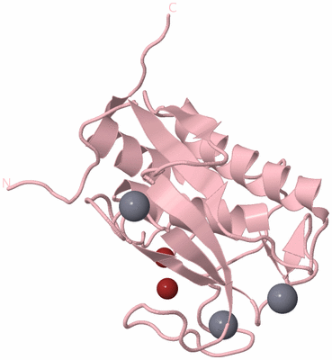 Image Biological Unit 3