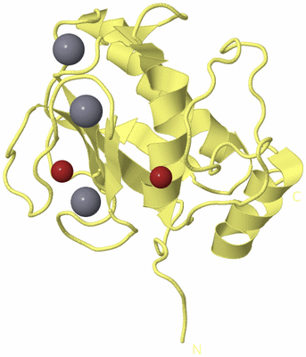 Image Biological Unit 4