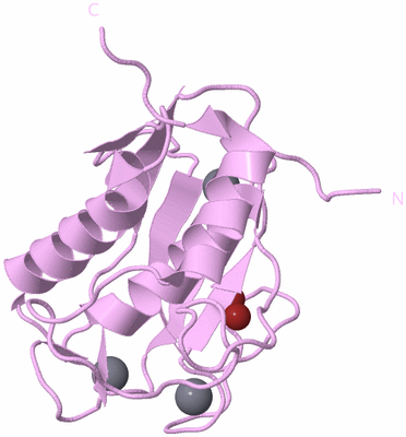 Image Biological Unit 5