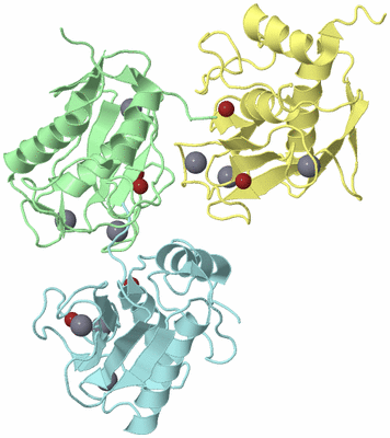 Image Biological Unit 7