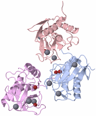 Image Biological Unit 8