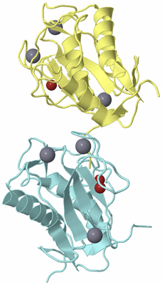 Image Biological Unit 9