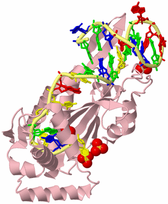 Image Biological Unit 2