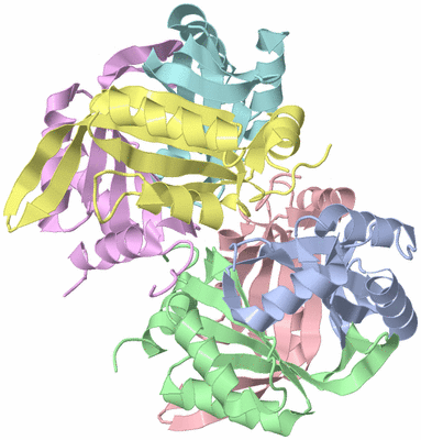 Image Biological Unit 3