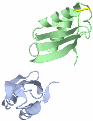 Image Asymmetric Unit