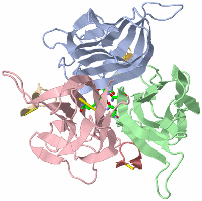 Image Biol. Unit 1 - sites