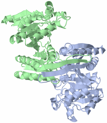 Image Asym./Biol. Unit