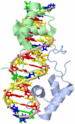 Image NMR Structure - model 1