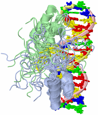 Image NMR Structure - all models