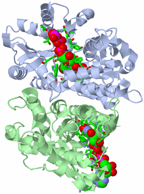 Image Biol. Unit 1 - sites
