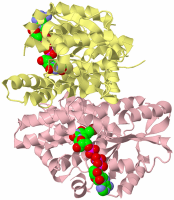 Image Biological Unit 2