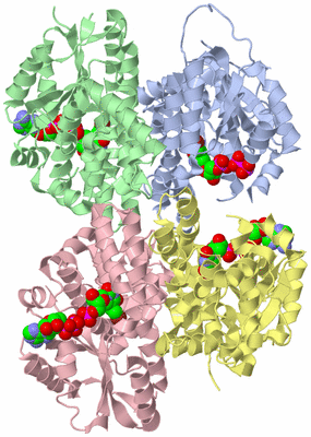 Image Biological Unit 3