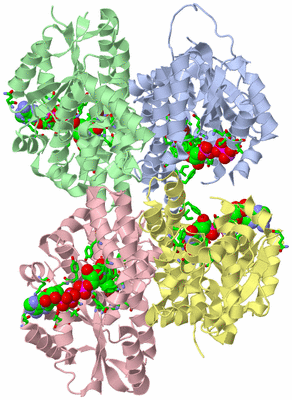 Image Asym. Unit - sites