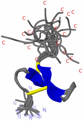 Image NMR Structure - all models