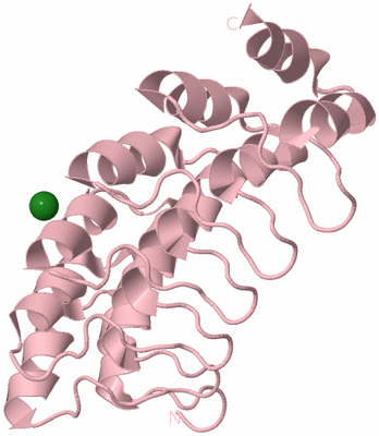 Image Biological Unit 3