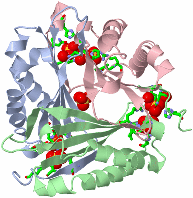 Image Asym./Biol. Unit - sites