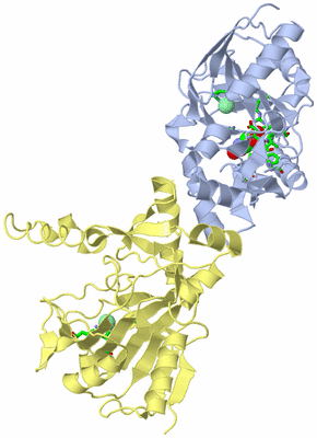 Image Biol. Unit 1 - sites