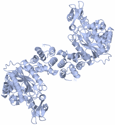 Image Biological Unit 1