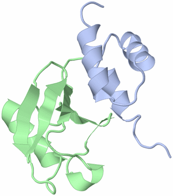 Image NMR Structure - model 1