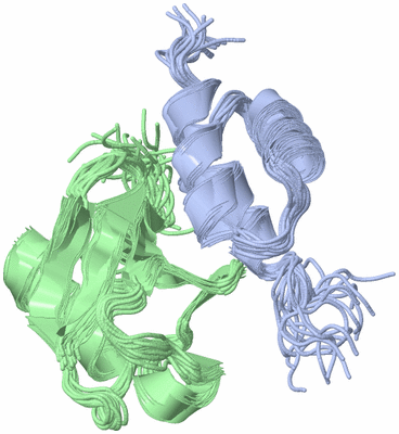 Image NMR Structure - all models