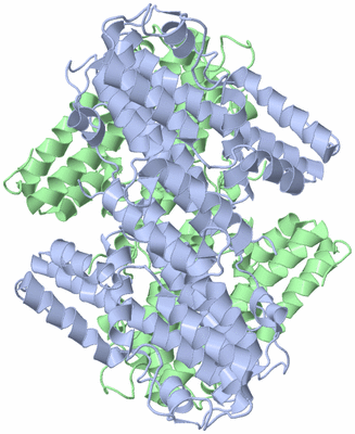 Image Biological Unit 2