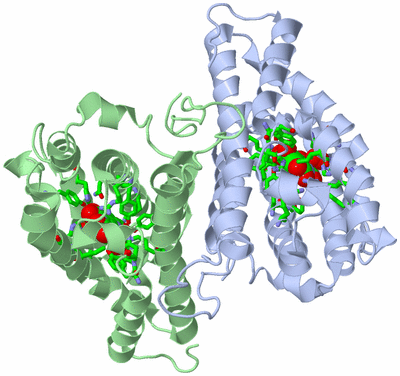 Image Asym./Biol. Unit - sites