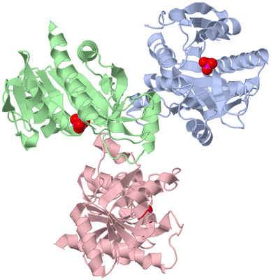 Image Asymmetric Unit