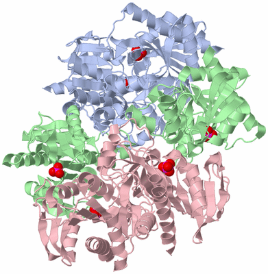 Image Biological Unit 1