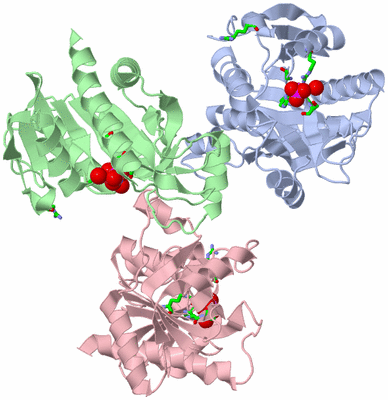 Image Asym. Unit - sites