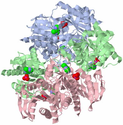 Image Biological Unit 1