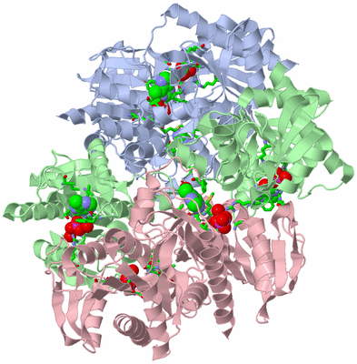 Image Biol. Unit 1 - sites