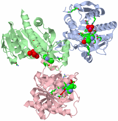 Image Asym. Unit - sites