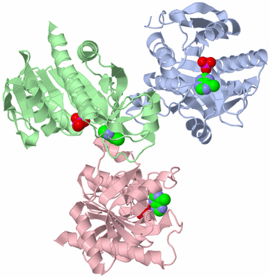 Image Asymmetric Unit