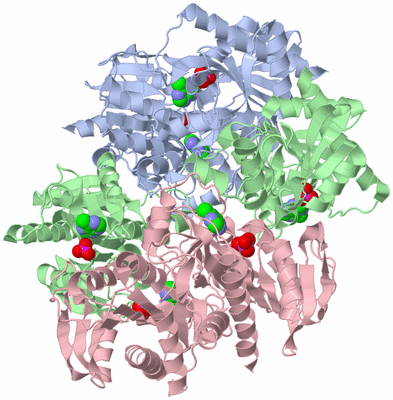 Image Biological Unit 1