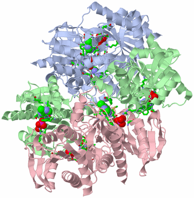 Image Biol. Unit 1 - sites