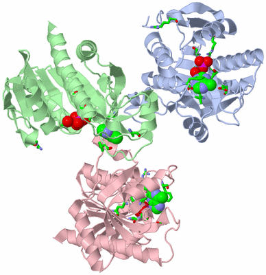 Image Asym. Unit - sites