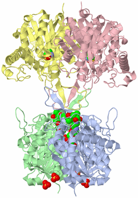 Image Asym./Biol. Unit