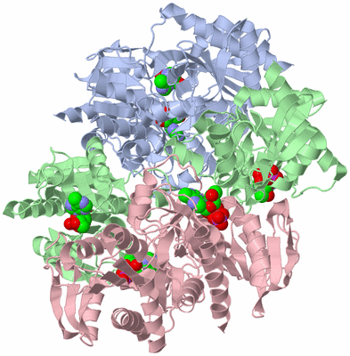 Image Biological Unit 1