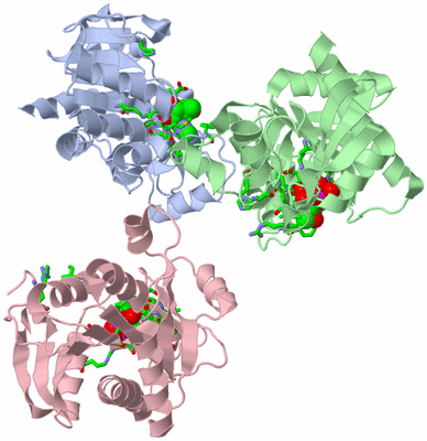 Image Asym. Unit - sites