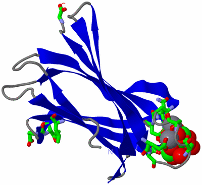 Image Asym. Unit - sites