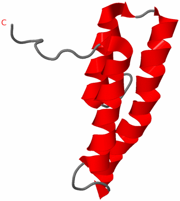 Image NMR Structure - model 1