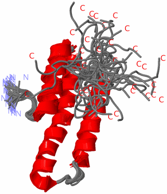 Image NMR Structure - all models