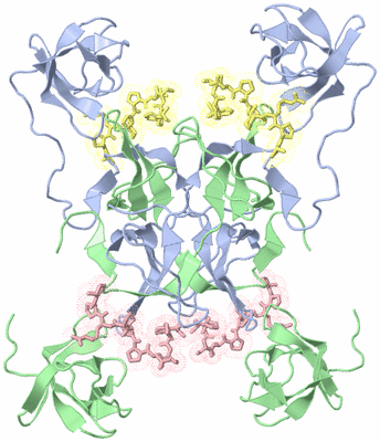 Image Biological Unit 2