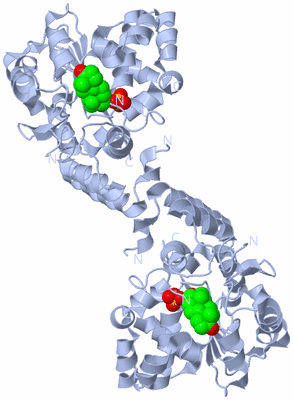 Image Biological Unit 1