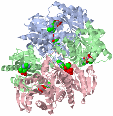 Image Biological Unit 1