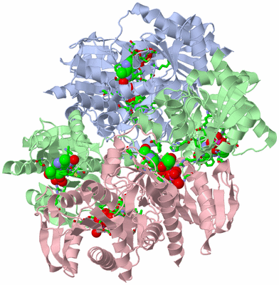 Image Biol. Unit 1 - sites