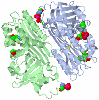 Image Biol. Unit 1 - sites